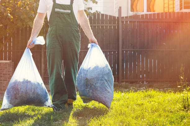 Best Electronics and E-Waste Disposal  in Hollymead, VA